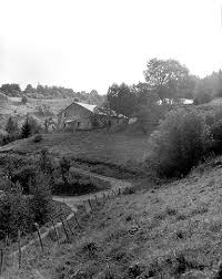 Ferme de la petite combe aux Bouchoux (39)